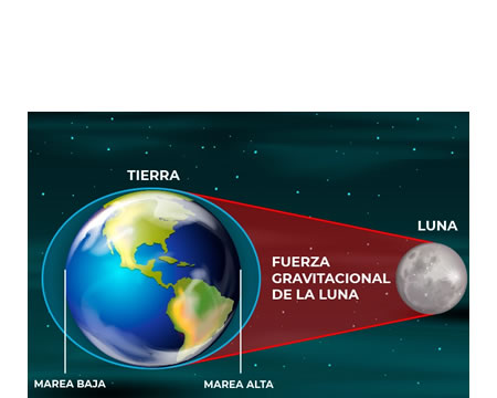 Las mareas y la luna